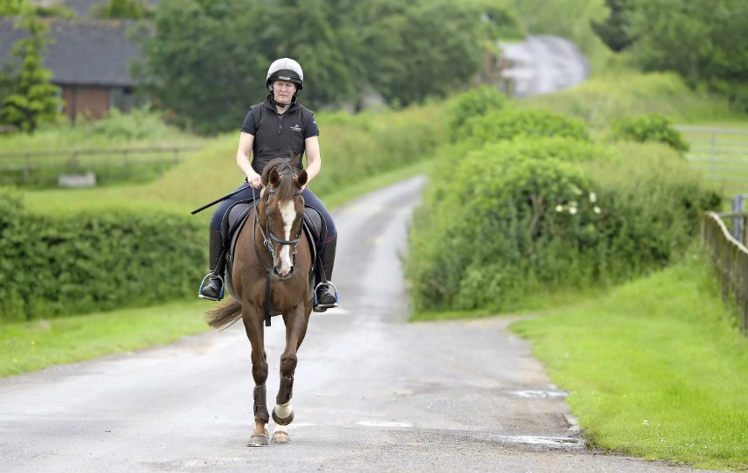 Retraining race horses