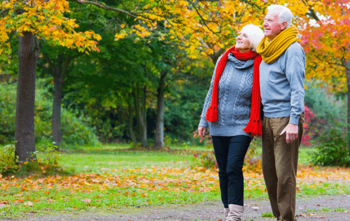 An elderly couple taking a stroll through the park