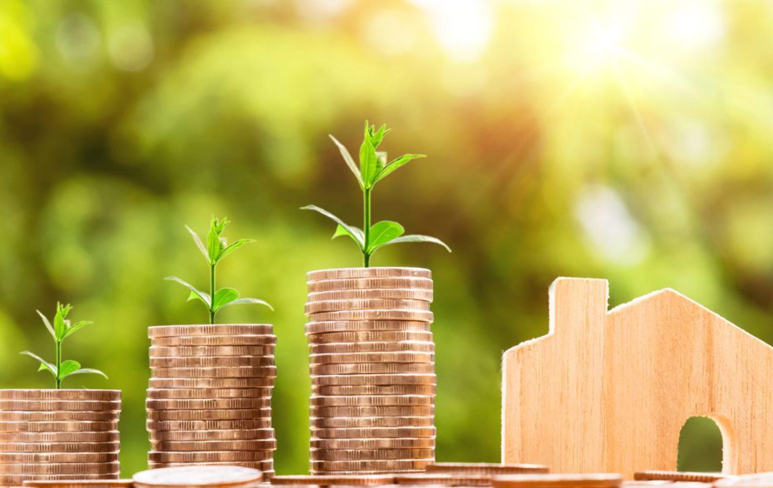A growing set of three stacks of coins with plant shoots coming out of them beside a wooden cut-out of a house