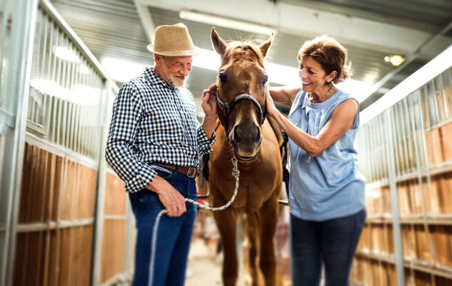 Two older people stroking a horse 